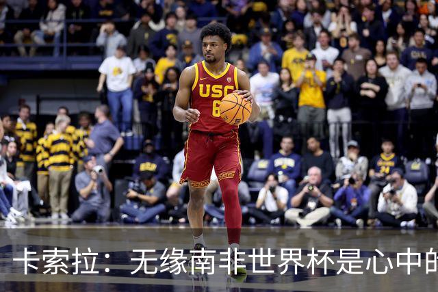 卡索拉：无缘南非世界杯是心中的刺